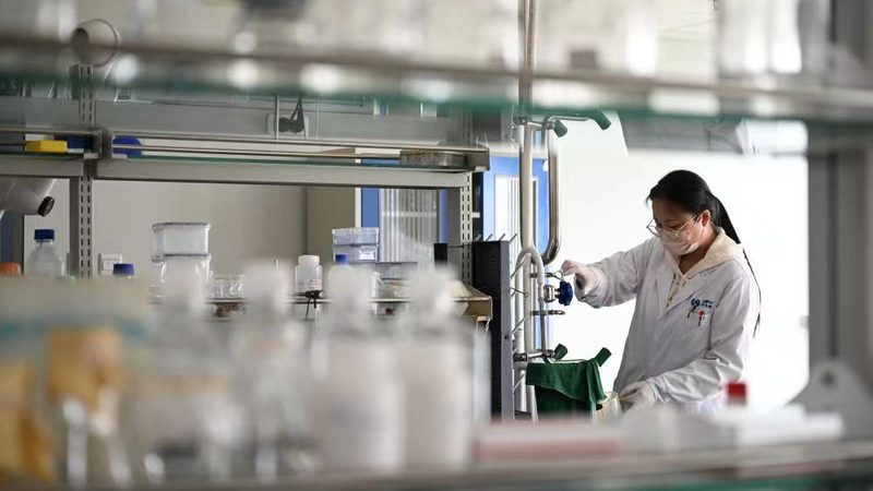 植物提取物定制流程：从原料到产品的科学之旅