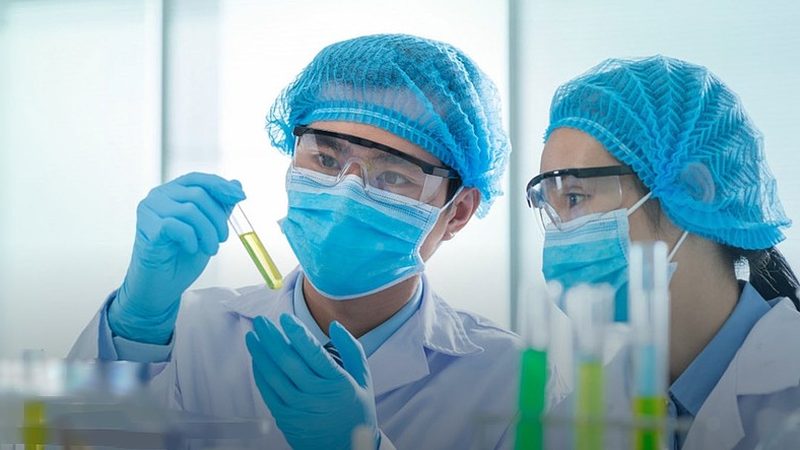 植物提取物原料：如何选择优质供应商