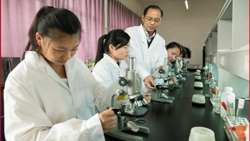 医院药品批发价格表：揭秘药品定价背后的逻辑**