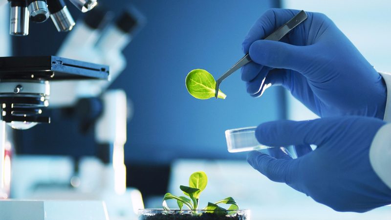 国标资质下的空心胶囊生产厂家：揭秘其背后的标准与工艺