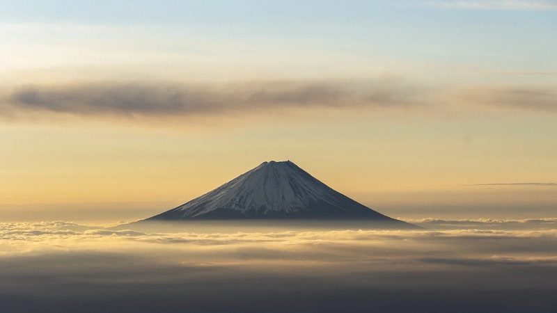 药用辅料公司排名揭秘：如何选择优质合作伙伴**