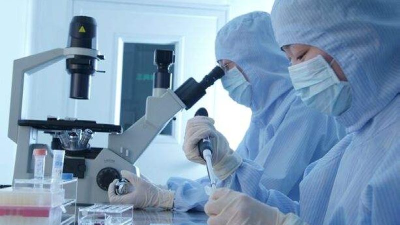 广州医药批发市场：合规采购的五大要点**