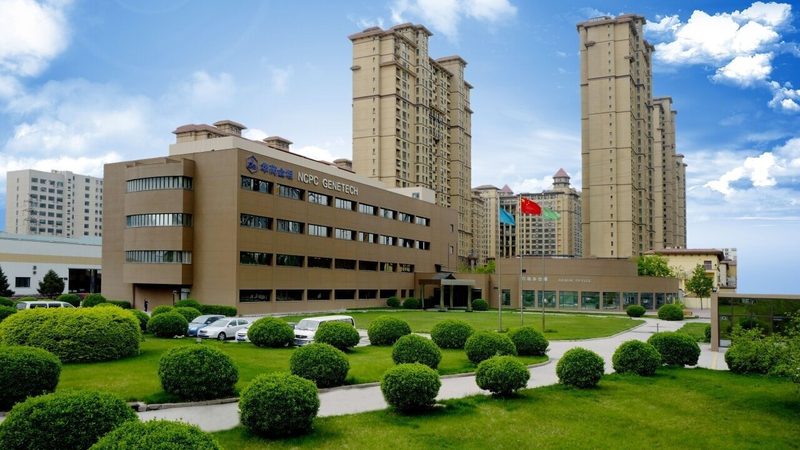 揭秘医药公司品牌榜：背后的逻辑与考量