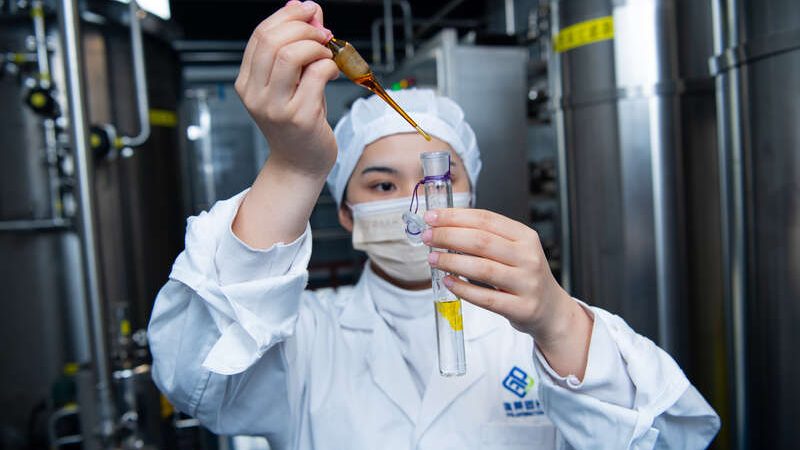 空心胶囊0号0.5g：揭秘其价格背后的秘密**